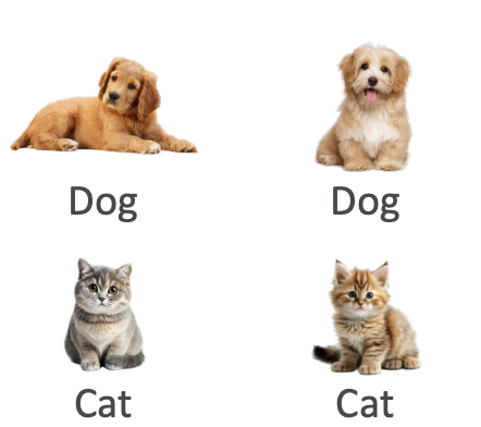 sup-cats-dogs
