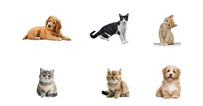 unsup-cats-dogs